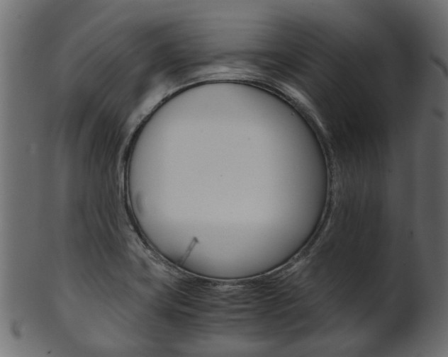 X0000102031419200807180956