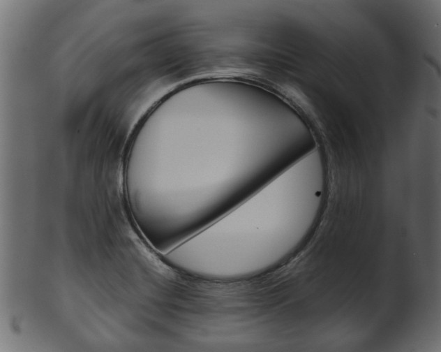 X0000102031420200807180956
