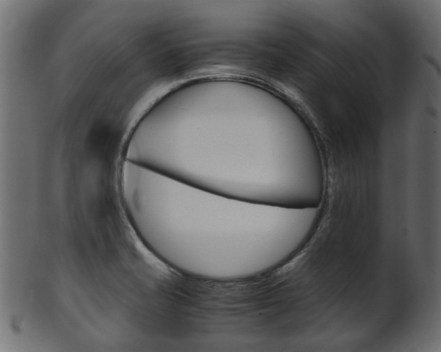 X0000102031421200807180956
