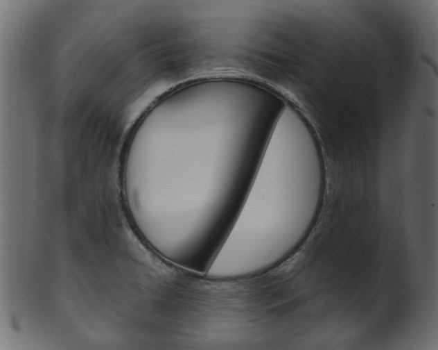 X0000102031422200807180956