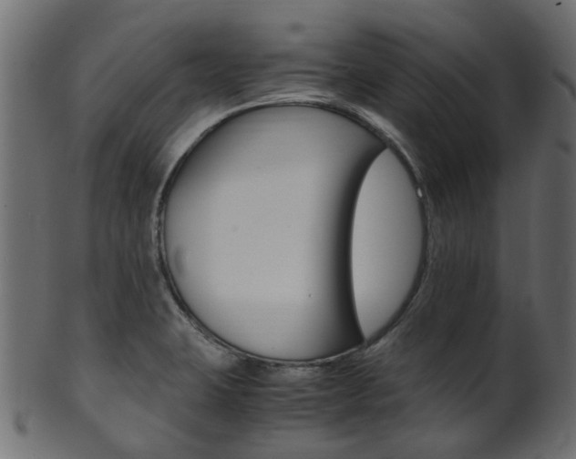 X0000102031423200807180956