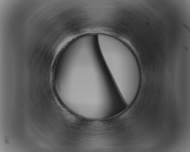 X0000102031424200807180956