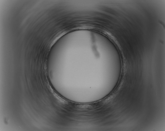 X0000102031425200807180956