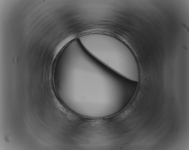 X0000102031426200807180956