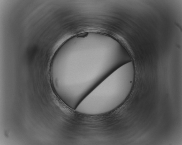 X0000102031427200807180956