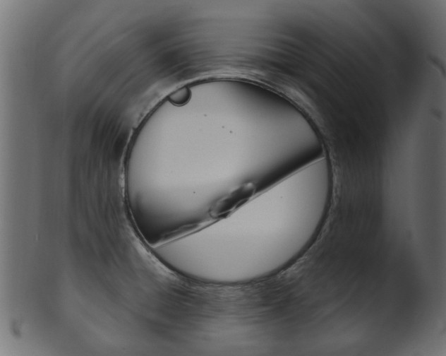 X0000102031428200807180956