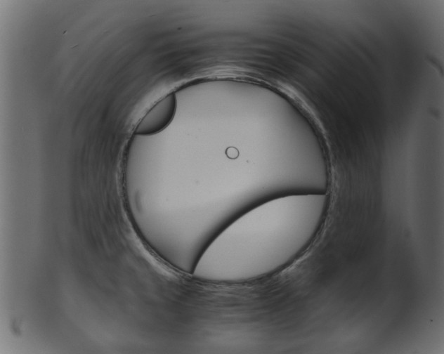 X0000102031429200807180956