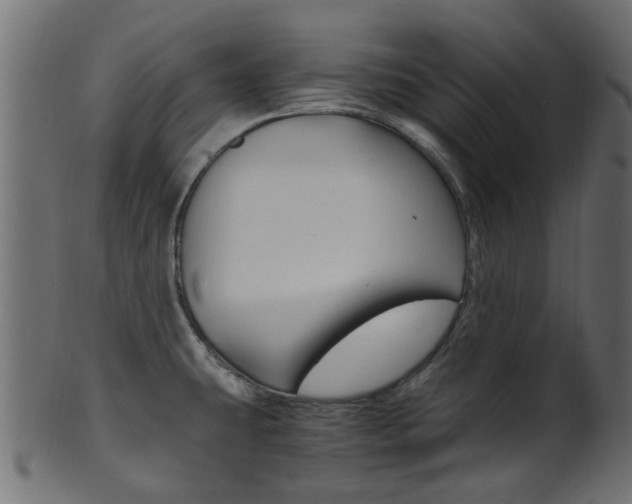 X0000102031431200807180956