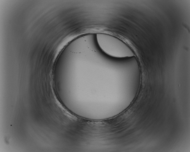 X0000102031432200807180956