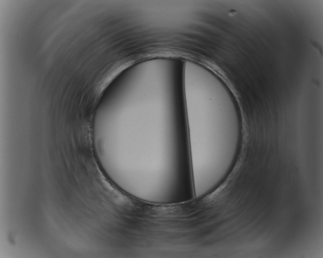 X0000102031433200807180956