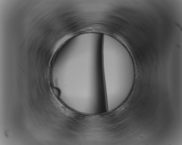 X0000102031434200807180956