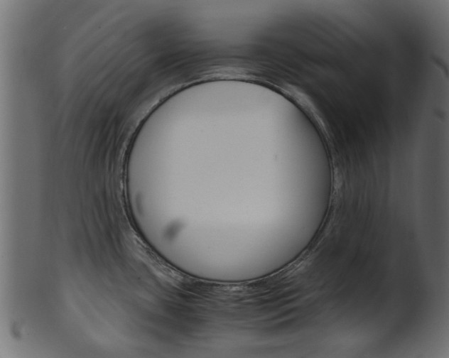 X0000102031435200807180956