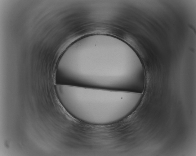 X0000102031436200807180956