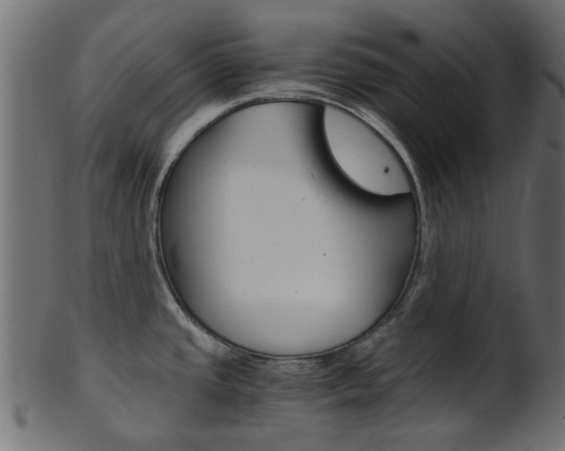 X0000102031437200807180956