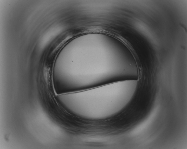X0000102031438200807180956