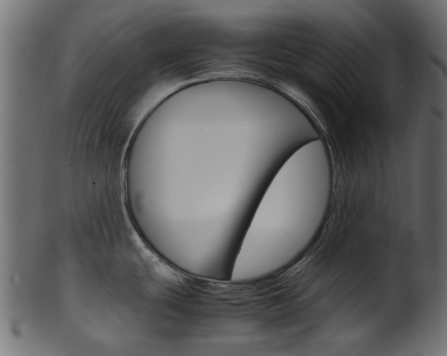 X0000102031439200807180956