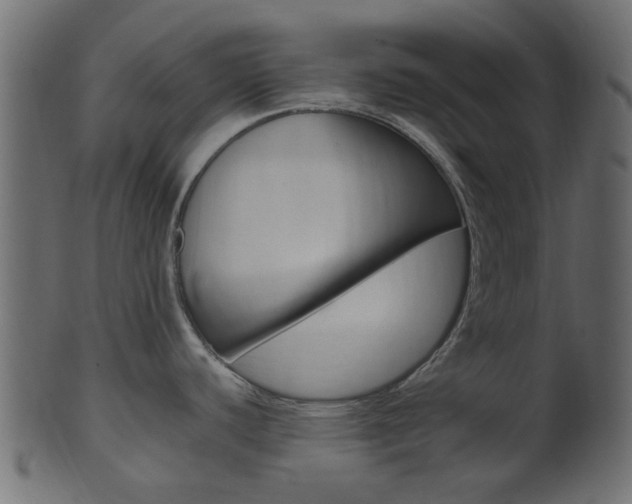 X0000102031440200807180956