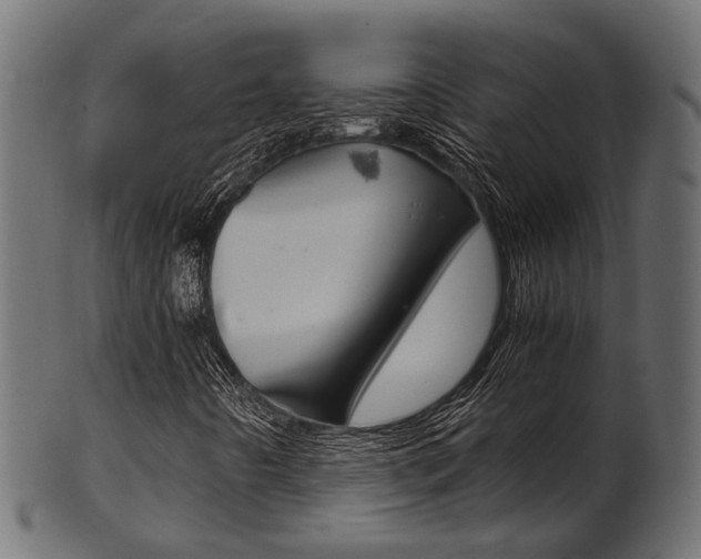 X0000102031442200807180955