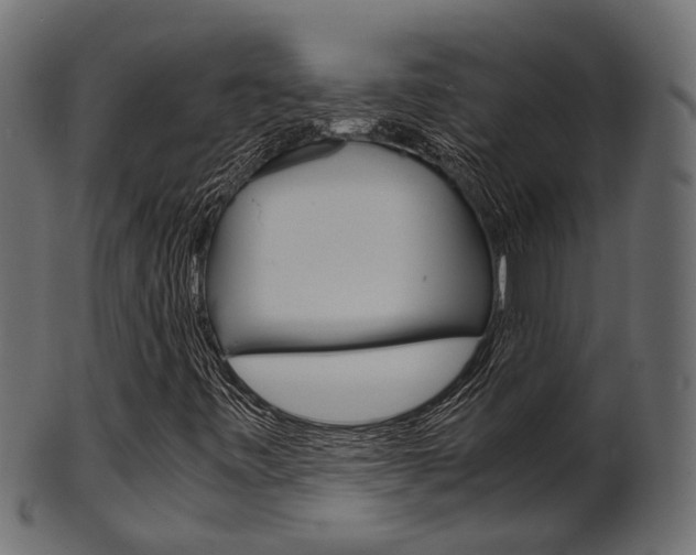 X0000102031443200807180955