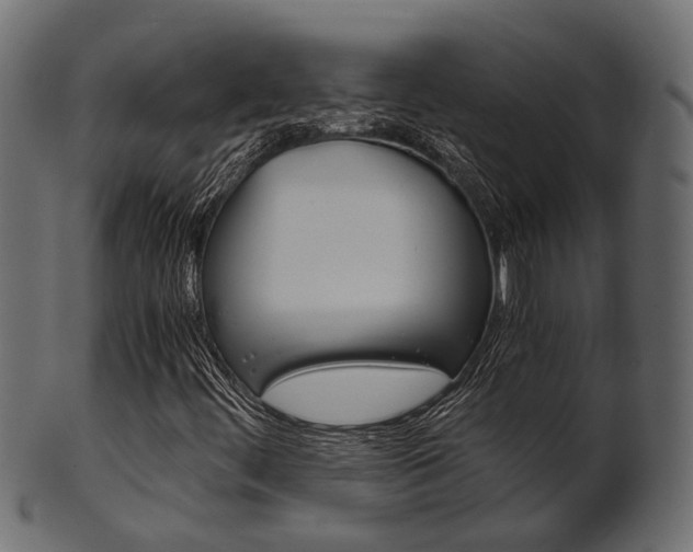 X0000102031444200807180955
