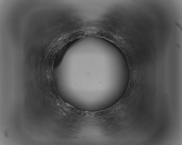X0000102031445200807180955