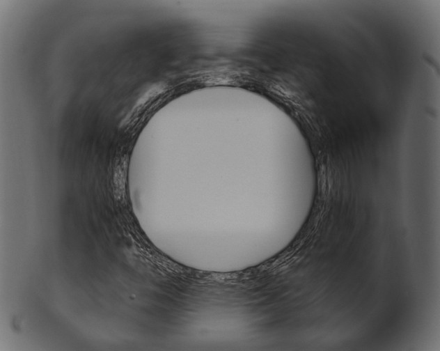 X0000102031446200807180955