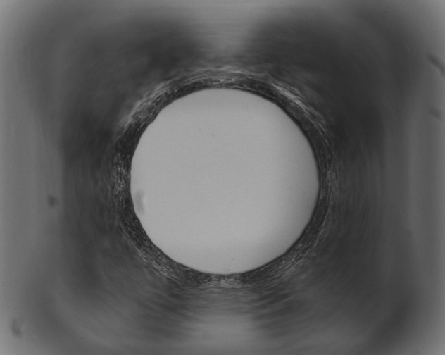 X0000102031447200807180955
