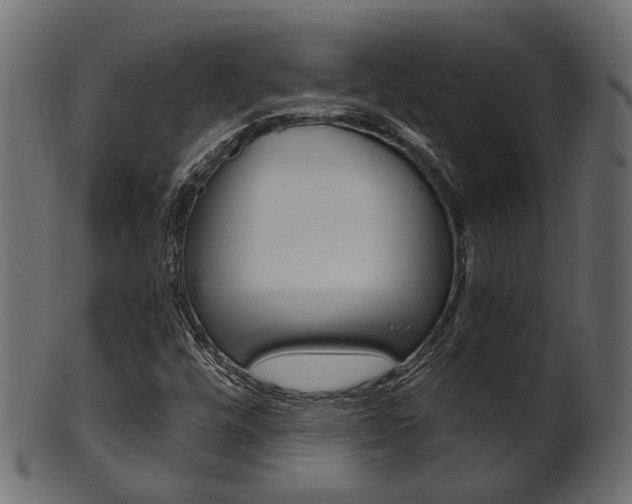 X0000102031448200807180955
