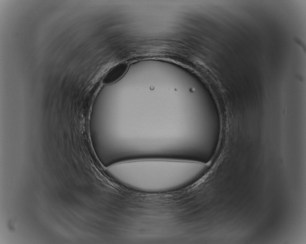 X0000102031449200807180955