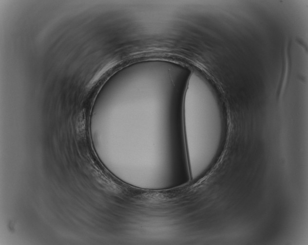 X0000102031450200807180955