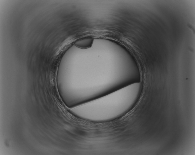 X0000102031451200807180955