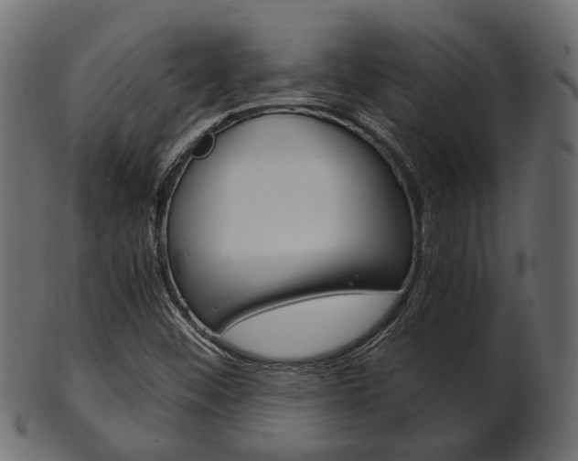 X0000102031452200807180955
