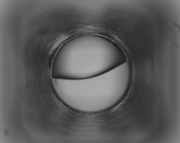 X0000102031453200807180955