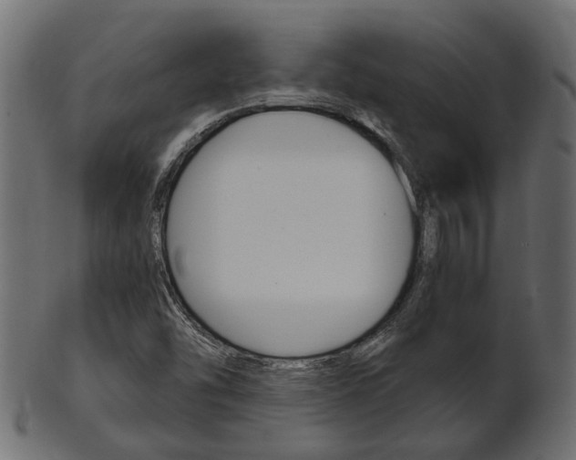 X0000102031454200807180955