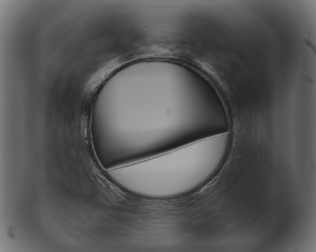 X0000102031455200807180955