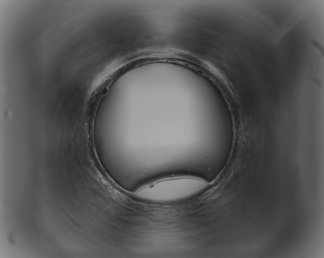 X0000102031456200807180955