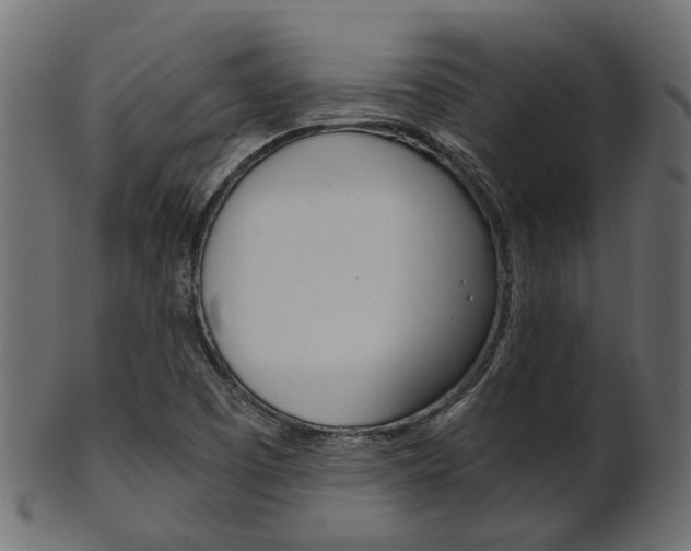 X0000102031457200807180955