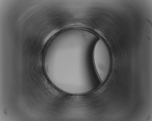 X0000102031458200807180955