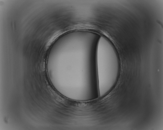 X0000102031459200807180955