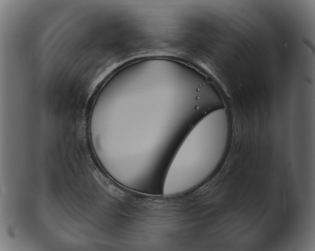 X0000102031460200807180955