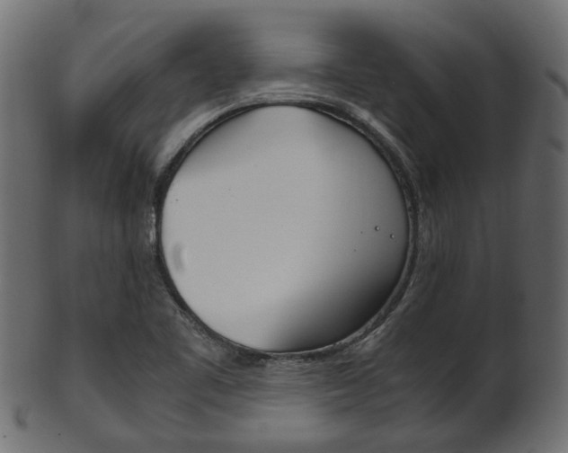 X0000102031461200807180955