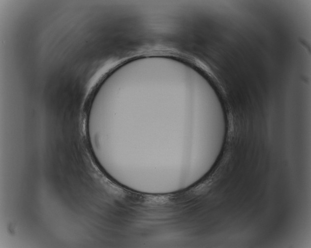 X0000102031462200807180955