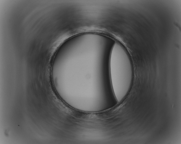 X0000102031463200807180955