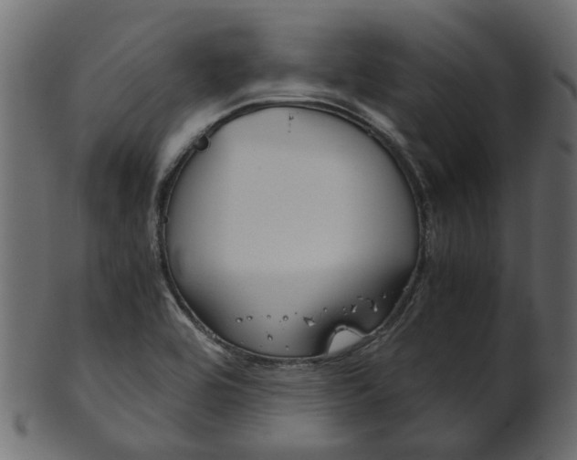 X0000102031464200807180955