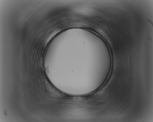 X0000102031465200807180955