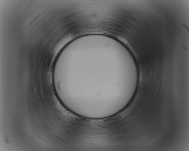 X0000102031466200807180955