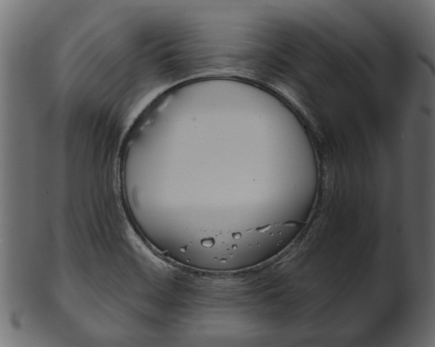 X0000102031468200807180955