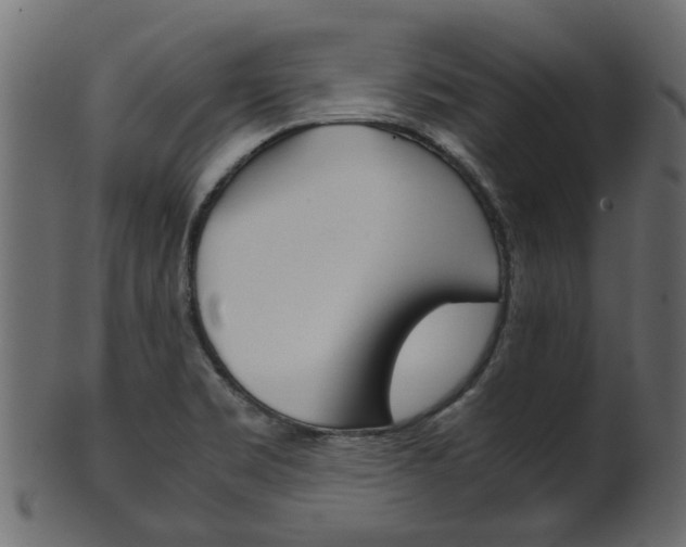 X0000102031469200807180955