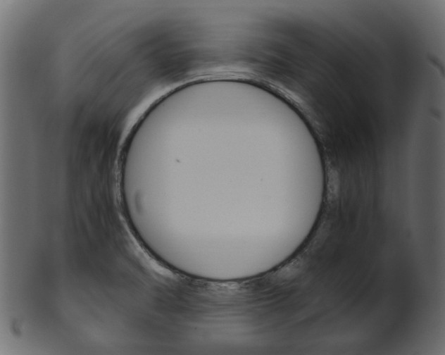 X0000102031470200807180955