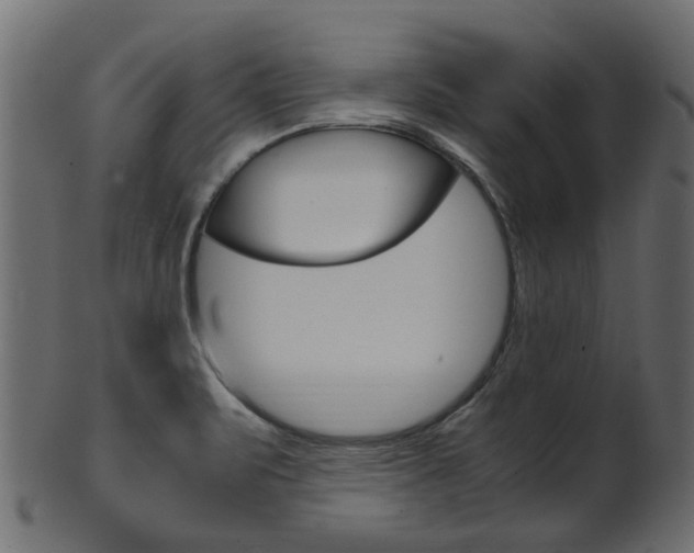 X0000102031471200807180955
